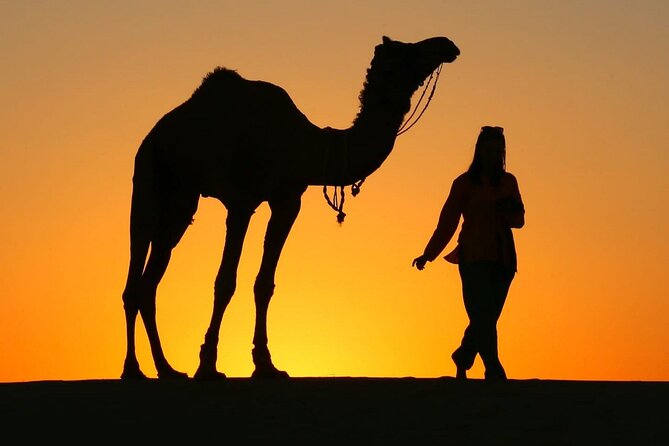 Pleasant Sunset Safari With Dinner On Dunes (From 2:00 PM to Approx. 10:00 PM) - Safari Departure Time and Location