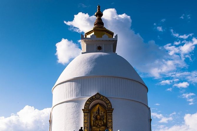 Pleasing Pokhara City With Captivating Chitwan Jungle Tour From Kathmandu - Wildlife Encounter in Chitwan National Park