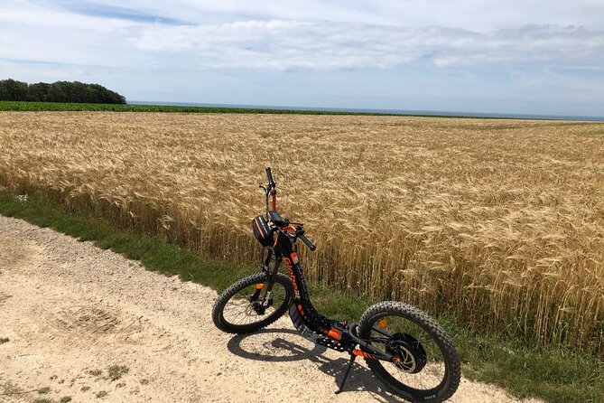 Pleasure" Ride on an All-Terrain Electric Scooter - What to Expect