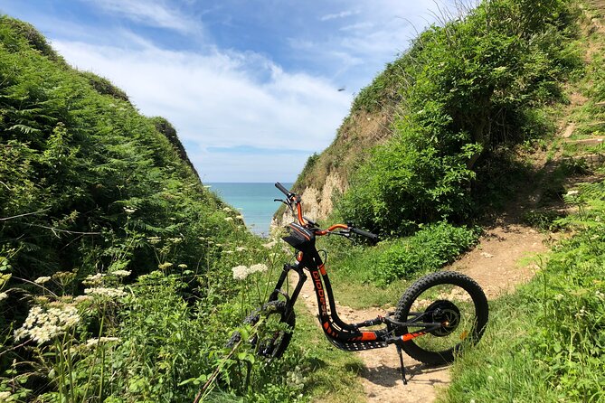 Pleasure" Ride on an All-Terrain Electric Scooter - Common Questions