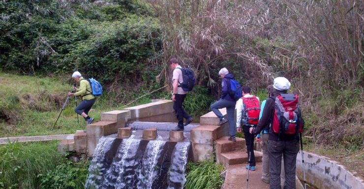 Pleasures: Full-Day Nature Walk - Booking Options