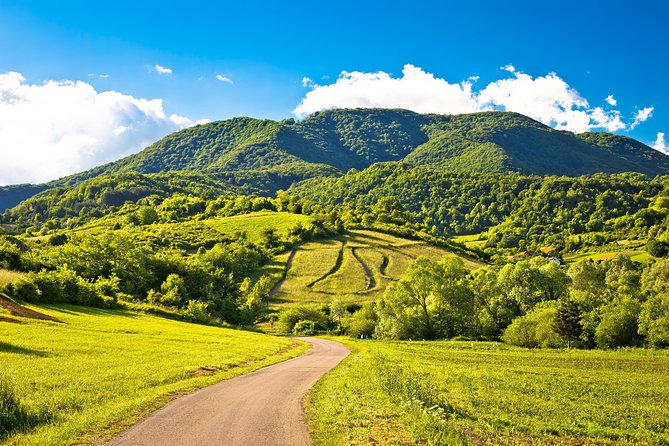 Plesivica Countryside Wine Tasting - The Sum Up