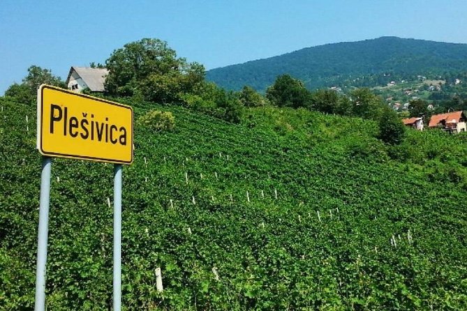Plesivica Region Wine Tasting Half-day Tour - Sample Menu