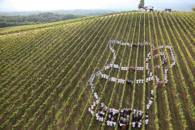 Plesivica Region Wine Tasting Half-day Tour - Cancellation Policy