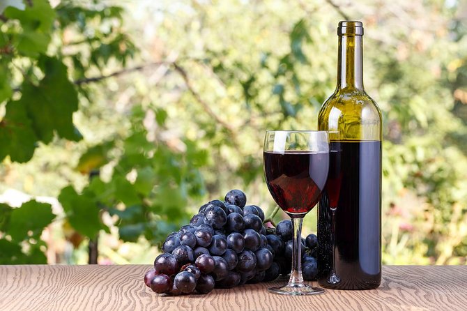 Plesivica Region Wine Tasting Half-day Tour - Customer Reviews