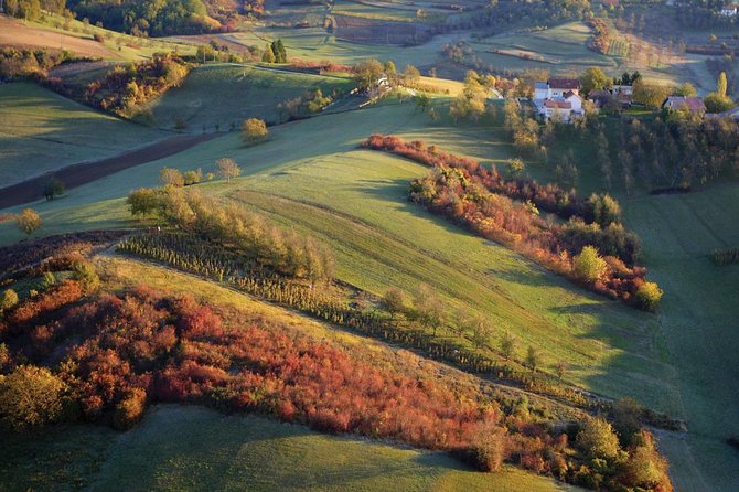 Plesivica Region Wine Tasting Half-day Tour - Booking Details