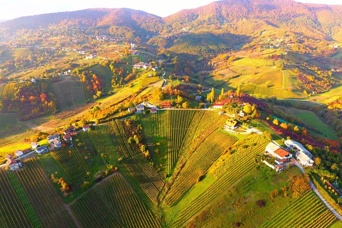 Plesivica Region Wine Tasting Half-day Tour - Frequently Asked Questions