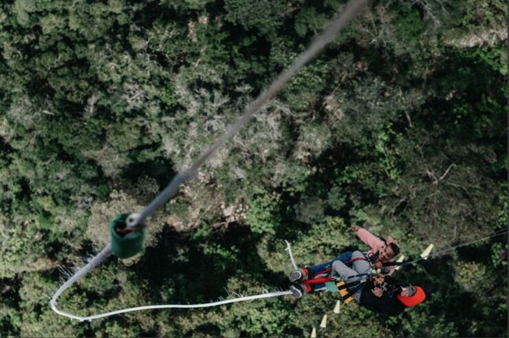 Plettenberg Bay: Bungee Jumping With Zipline and Sky Walk - Highlights