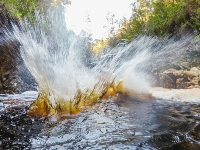 Plettenberg Bay: Canyoning Trip - Booking Information