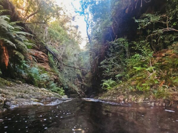 Plettenberg Bay: Canyoning Trip - Directions and Meeting Point