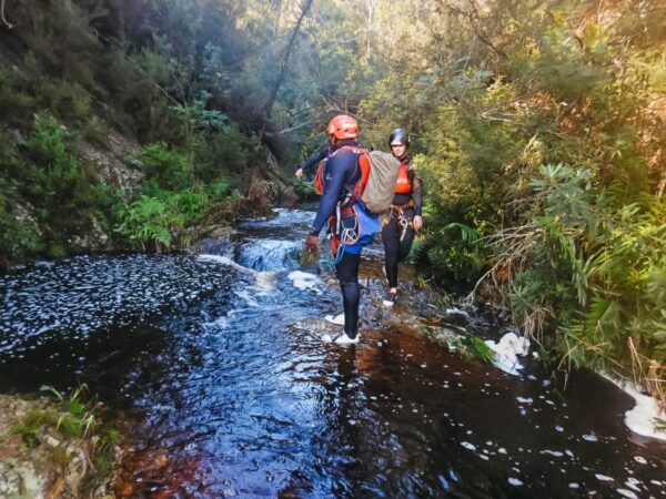 Plettenberg Bay: Canyoning Trip - The Sum Up