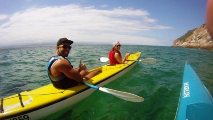 Plettenberg Bay: Guided Sea Kayak Tour - Good To Know