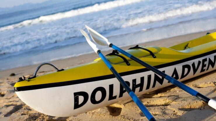 Plettenberg Bay: Guided Sea Kayak Tour - Booking Information