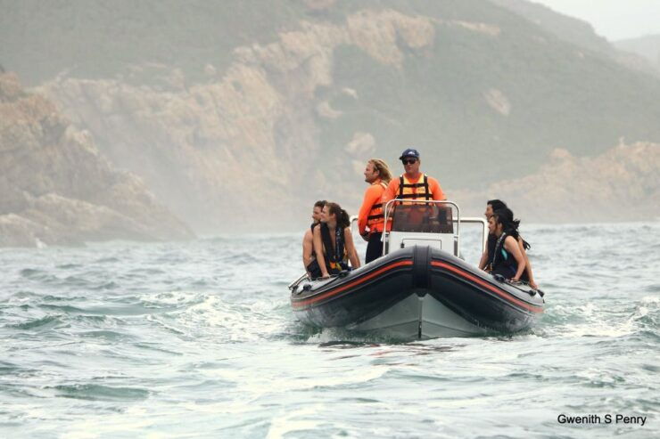 Plettenberg Bay: Seal Colony Viewing Excursion - Activity Details