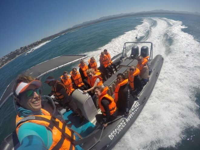 Plettenberg Bay: Seal Colony Viewing Excursion - Itinerary