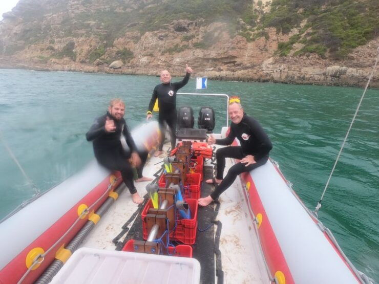 Plettenberg Bay: Seal Swimming Experience - Pricing and Duration Details