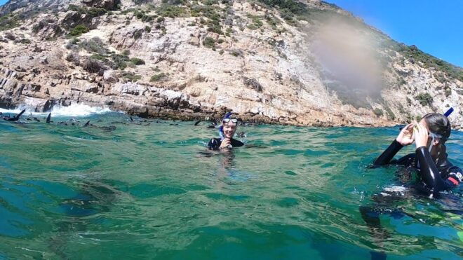 Plettenberg Bay: Seal Swimming Experience - Inclusions and Exclusions