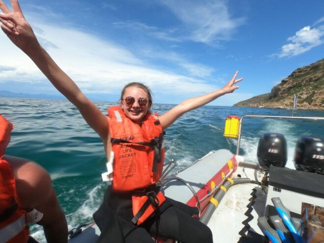 Plettenberg Bay: Seal Swimming Experience - Seal Encounter Description