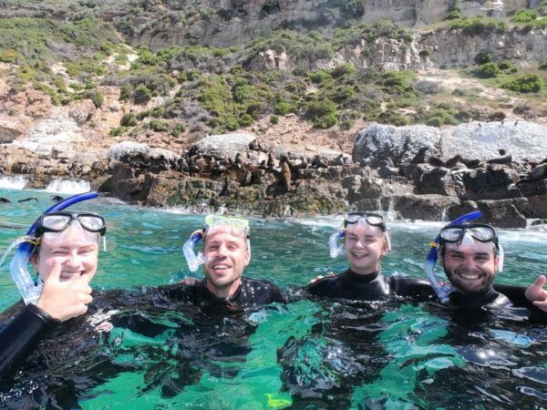Plettenberg Bay: Seal Swimming Experience - Customer Reviews and Recommendations
