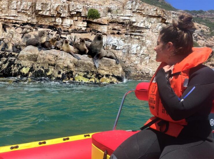Plettenberg Bay: Seal Viewing Boat Trip - Tour Details