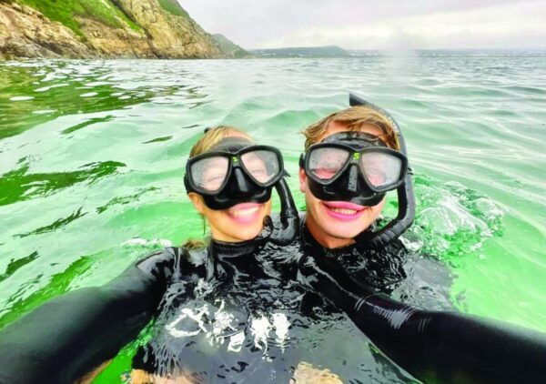 Plettenberg Bay: Seal Viewing Boat Trip - Customer Reviews