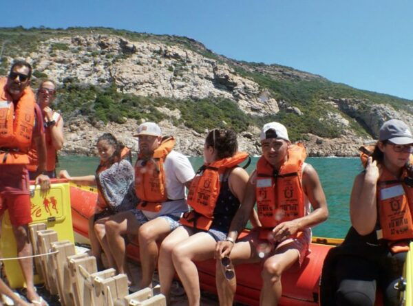 Plettenberg Bay: Seal Viewing Boat Trip - Directions