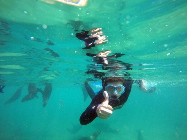 Plettenberg Bay: Swim With Seals - Directions