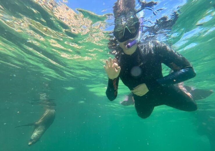 Plettenberg Bay: Swim With the Seals - Good To Know