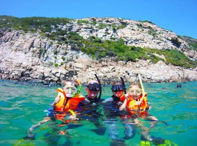 Plettenberg Bay: Swim With the Seals - Booking Information