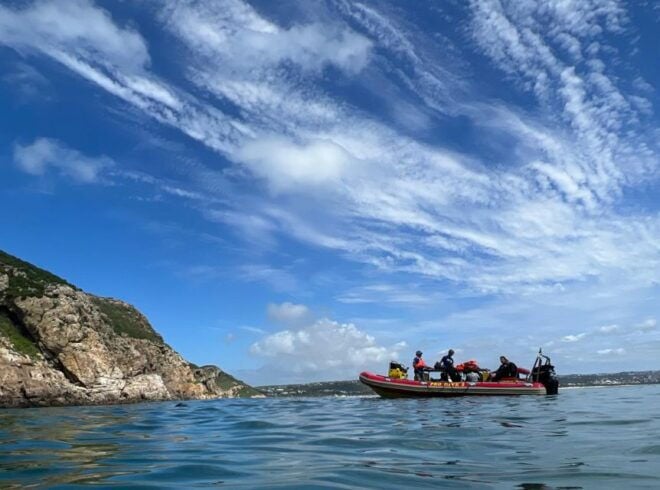 Plettenberg Bay: Swim With the Seals - Important Information