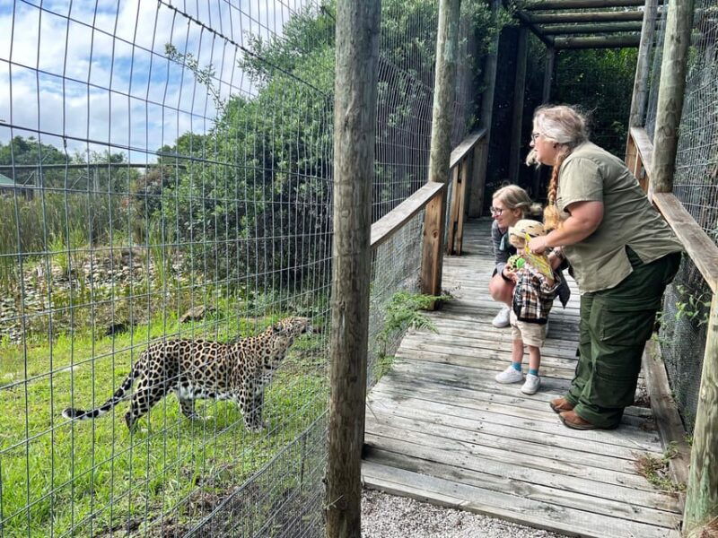 Plettenberg Bay: Wild Cat and Wildlife Guided Tour - Plettenberg Bay: Wild Cat and Wildlife Guided Tour — An In-Depth Look