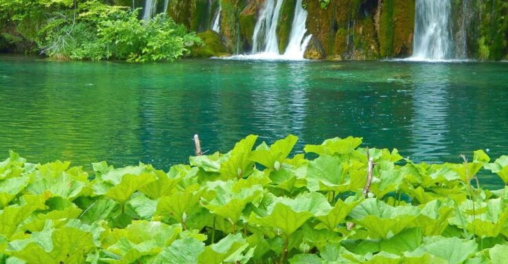 Plitivce Lakes - Good To Know