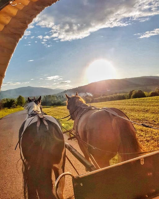 Plitvice - Choose Your Adventure! From Split & Trogir Area - Good To Know