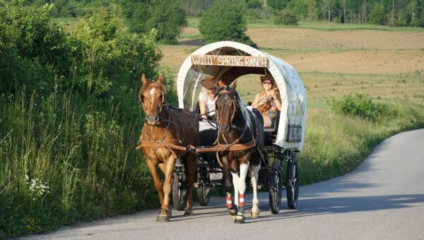 Plitvice - Choose Your Adventure! From Split & Trogir Area - Optional Activities