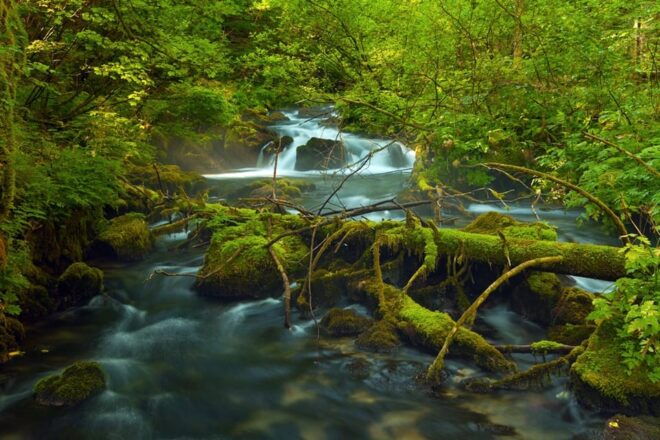 Plitvice Lakes Day Tour From Zagreb - Guided Walking Tour