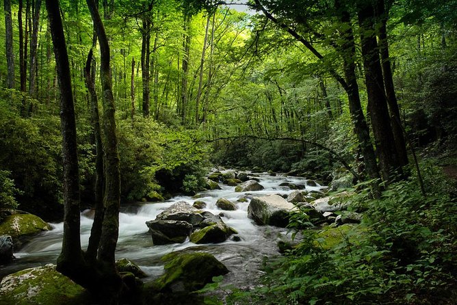 Plitvice Lakes Day Trip From Split  - Asheville - Additional Tips
