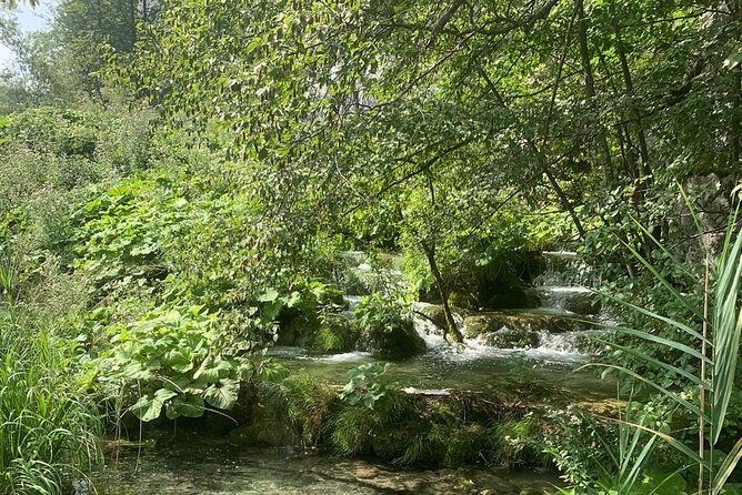 Plitvice Lakes Excursion - Day Tour From Zadar - Contact and Support