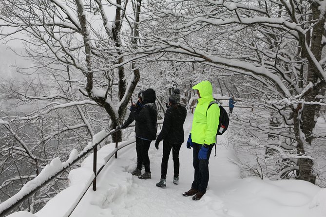 Plitvice Lakes Frozen Landscape Private Hiking Day Trip From Zagreb - Local Guide and Transportation