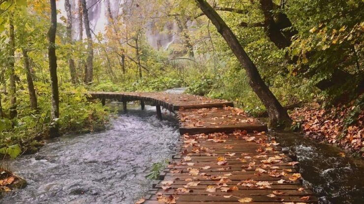 PLITVICE LAKES FULL DAY TOUR WITH LOCAL - Itinerary Details