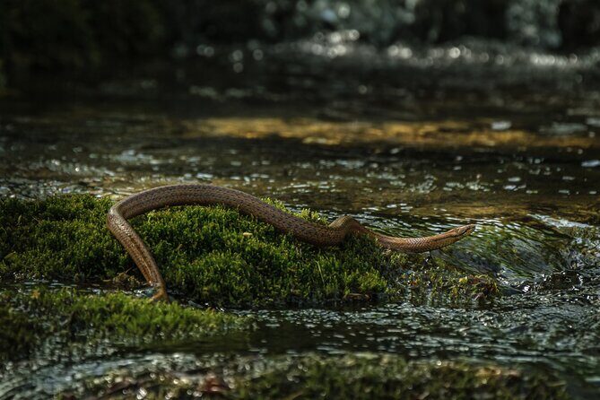 Plitvice Lakes guided tour - Frequently Asked Questions