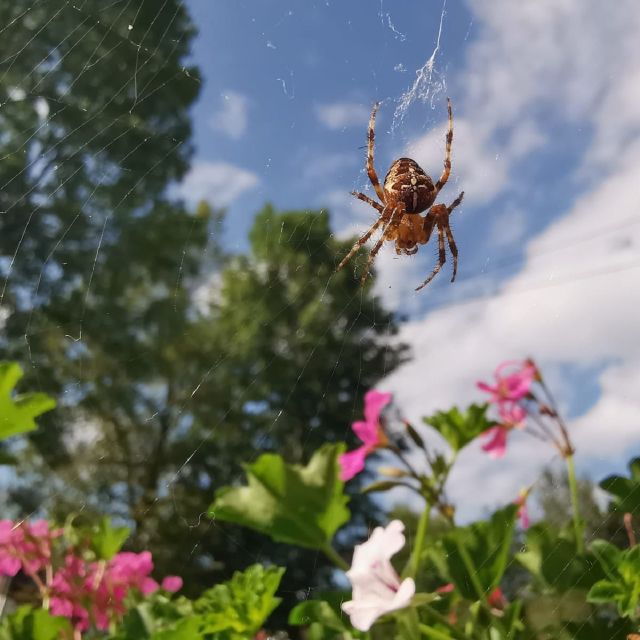 Plitvice Lakes National Park: Walking, Boat, and Train Tour - Booking Details