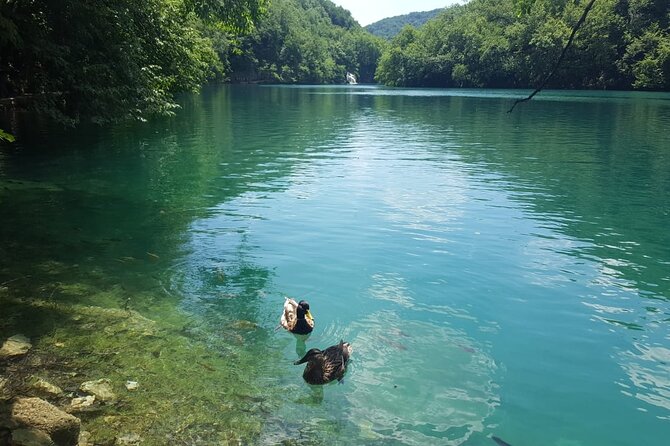 Plitvice Lakes Small Group Tour Ecco From Split or Trogir - Boat Ride and Free Time
