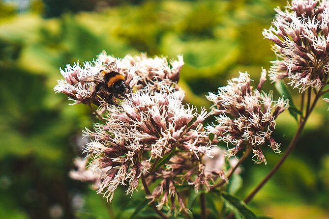 Plitvice Lakes Tour From Split - Economy - Cancellation Policy