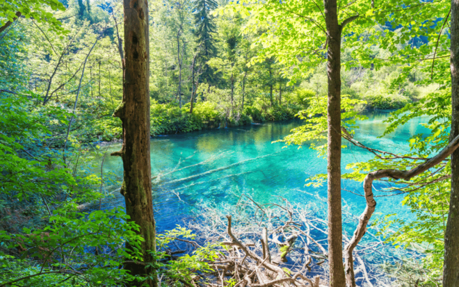 Plitvice National Park Lakes Private Tour From Split - Meeting Point Information