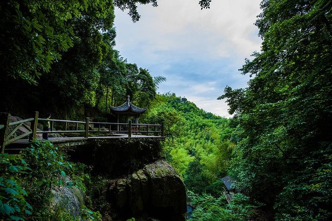 Plog and Hike Mount Mogan Nature Reserve – Guided Outdoor Tour From Hangzhou - Good To Know