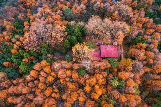 Plog and Hike Mount Mogan Nature Reserve – Guided Outdoor Tour From Hangzhou - Price and Booking