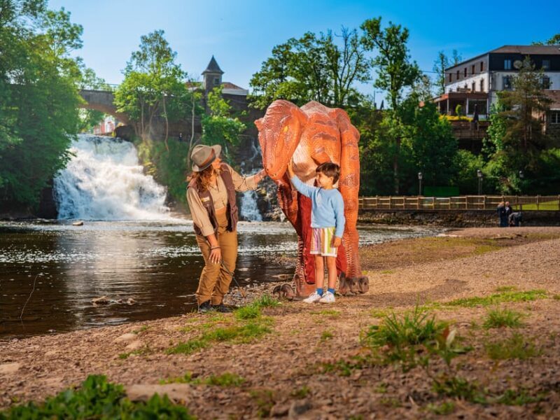 Plopsaland Ardennes - Theme Park - Entry Ticket - Who Will Love This Park?