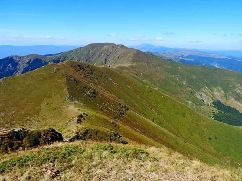 Plovdiv: Central Balkan National Park Guided Hike - Discovering Bulgaria’s Highest Point in Style