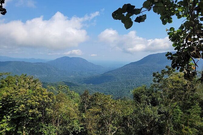 Pluma Hidalgo Coffee Experience - Good To Know