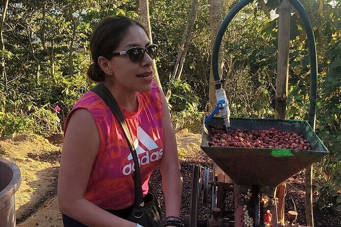 Pluma Hidalgo Coffee Experience - Final thoughts